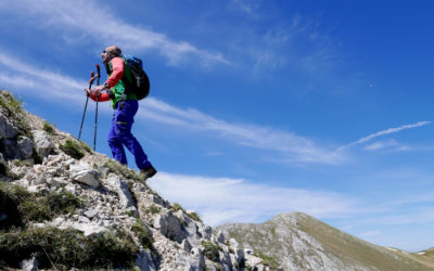 ULTIME NOTIZIE DALLA “GUERRA” TRA GUIDE AMBIENTALI E ACCOMPAGNATORI