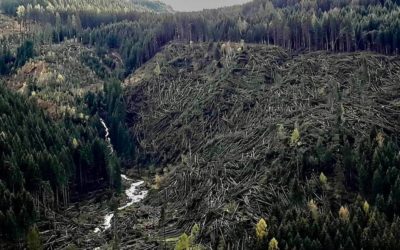 VAL DI FIEMME, IL DRAMMA IGNORATO