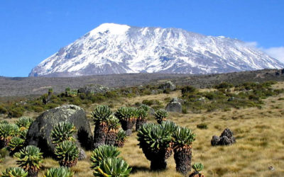 UNA CABINOVIA SUL KILIMANJARO?