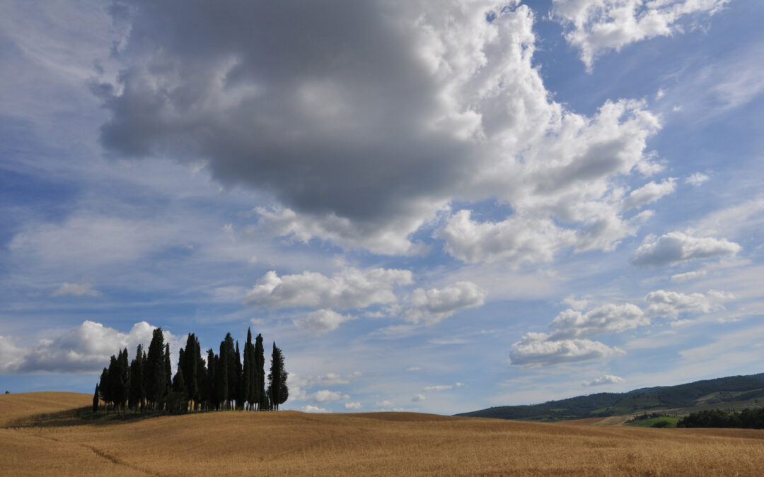 DA PIENZA ALLA MADONNA DI VITALETA E A SAN QUIRICO D’ORCIA (VAL D’ORCIA)