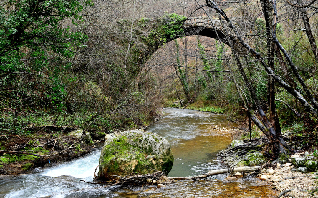 DA MOMPEO AL PONTE SUL FARFA E ALLA GROTTA SCURA (MONUMENTO NATURALE GOLE DEL FARFA)