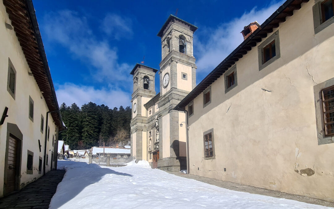 CON LE CIASPOLE NELLA FORESTA DI CAMALDOLI (PARCO DELLE FORESTE CASENTINESI, TOSCANA E ROMAGNA)