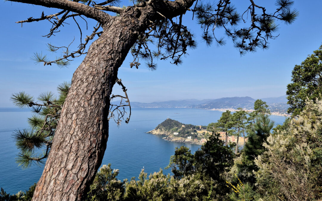 DA SESTRI LEVANTE A PUNTA MANARA (RIVIERA DI LEVANTE, LIGURIA)