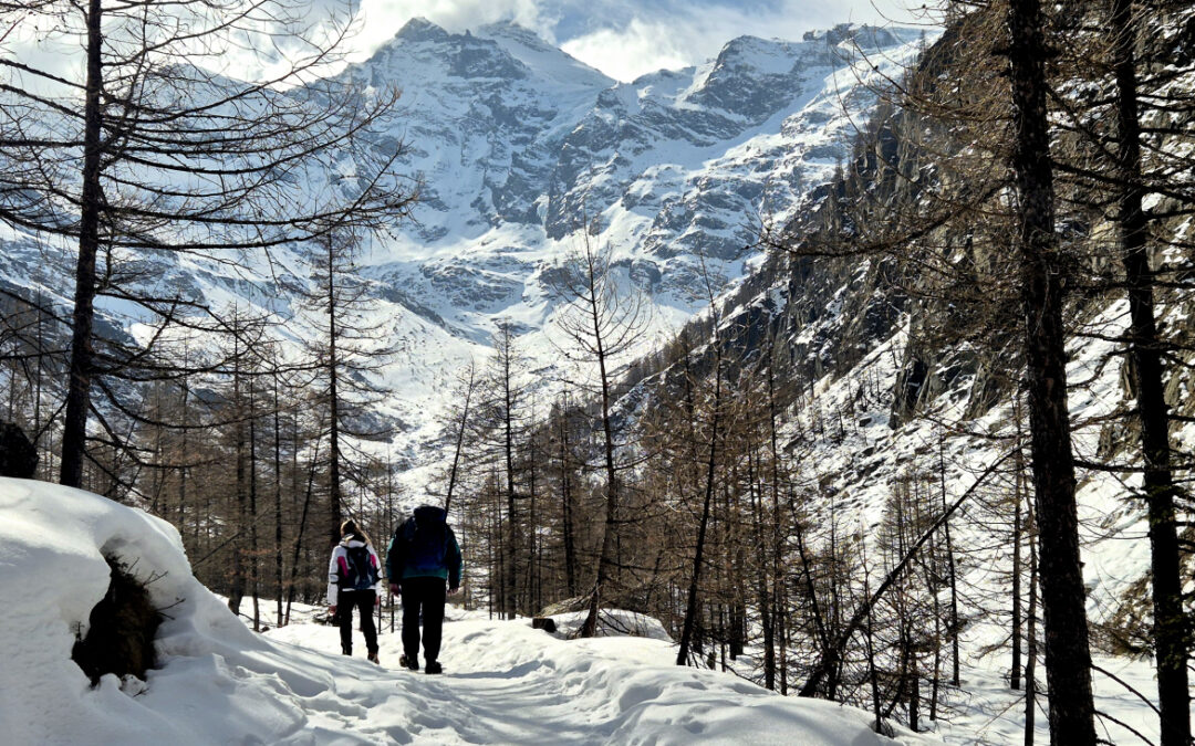 D’INVERNO IN VALNONTEY (PARCO DEL GRAN PARADISO, VALLE D’AOSTA)